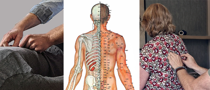 illustration shiatsu