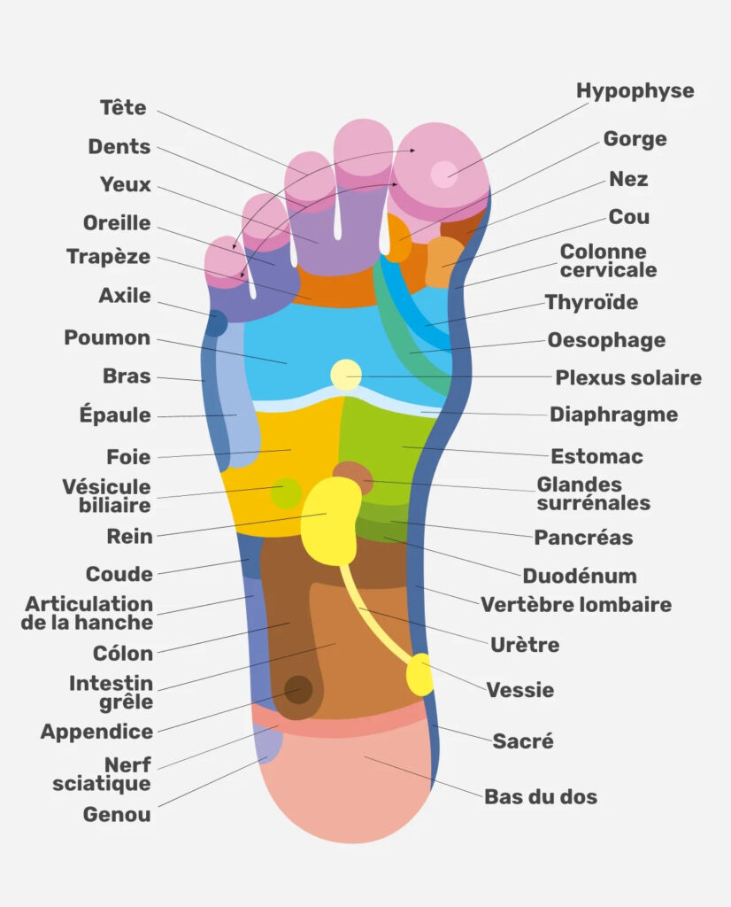 Réflexologie