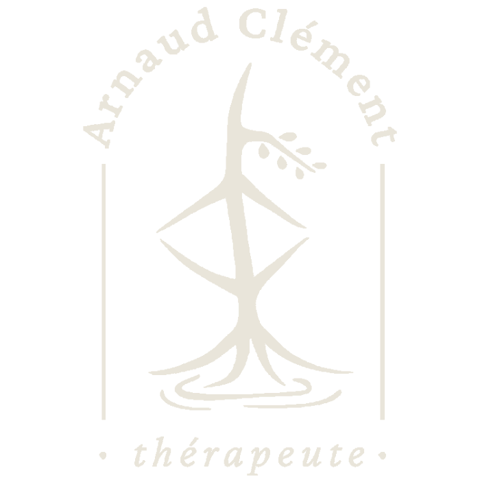 logo arnaud clement