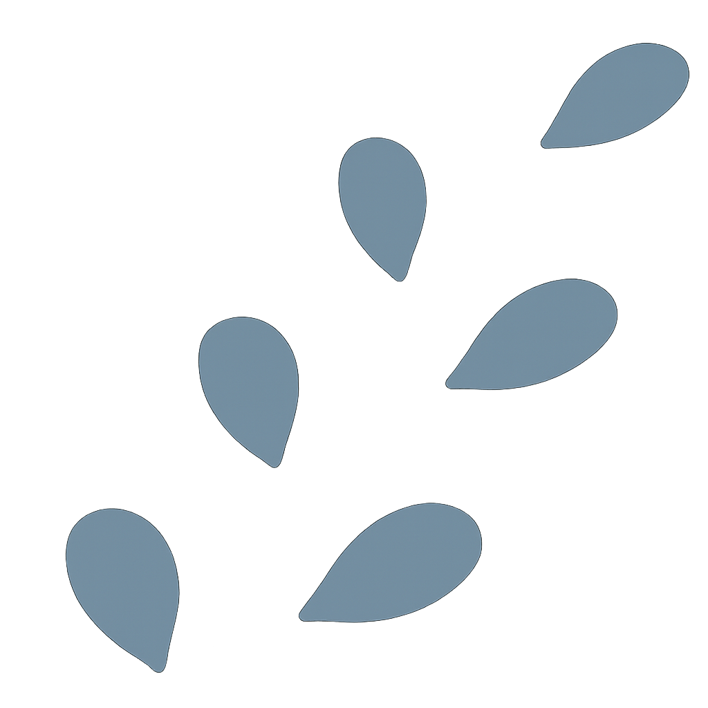 thérapie énergétique